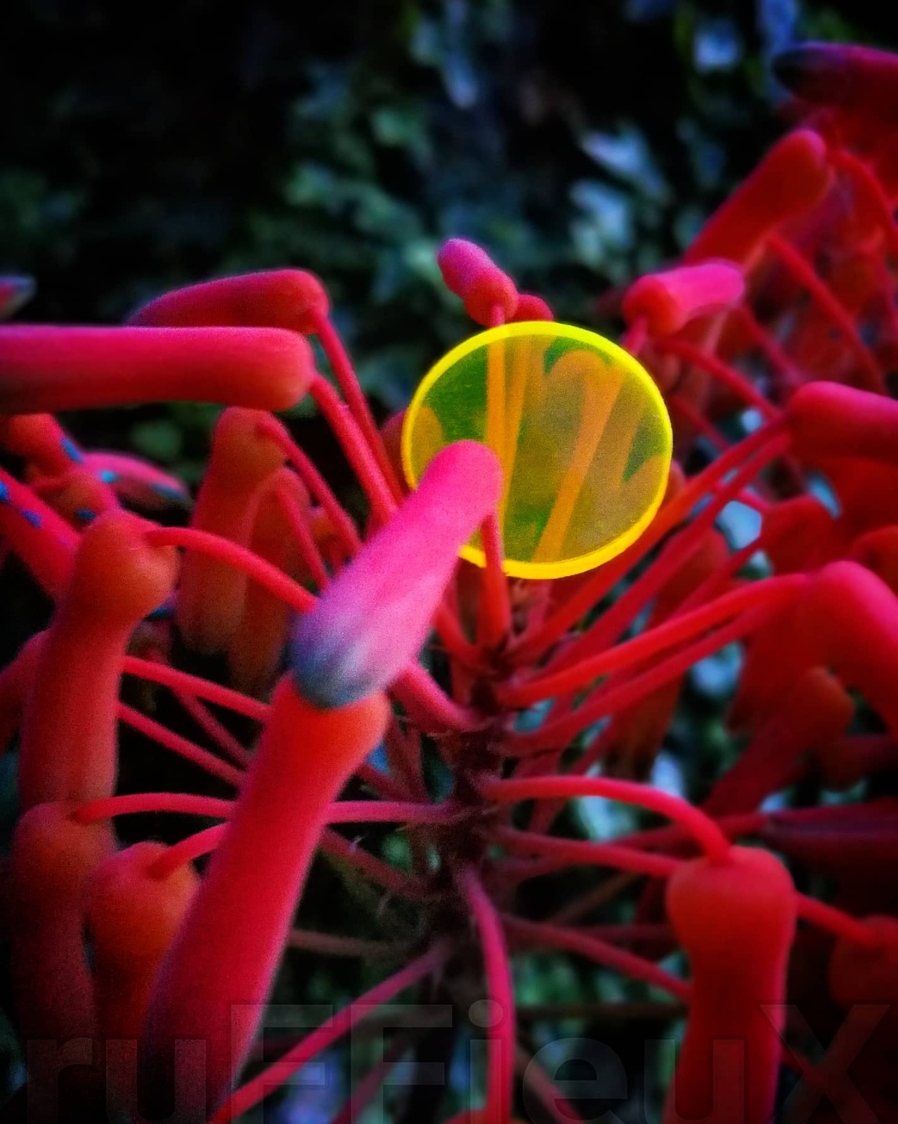 IMG 20230519 202042 707