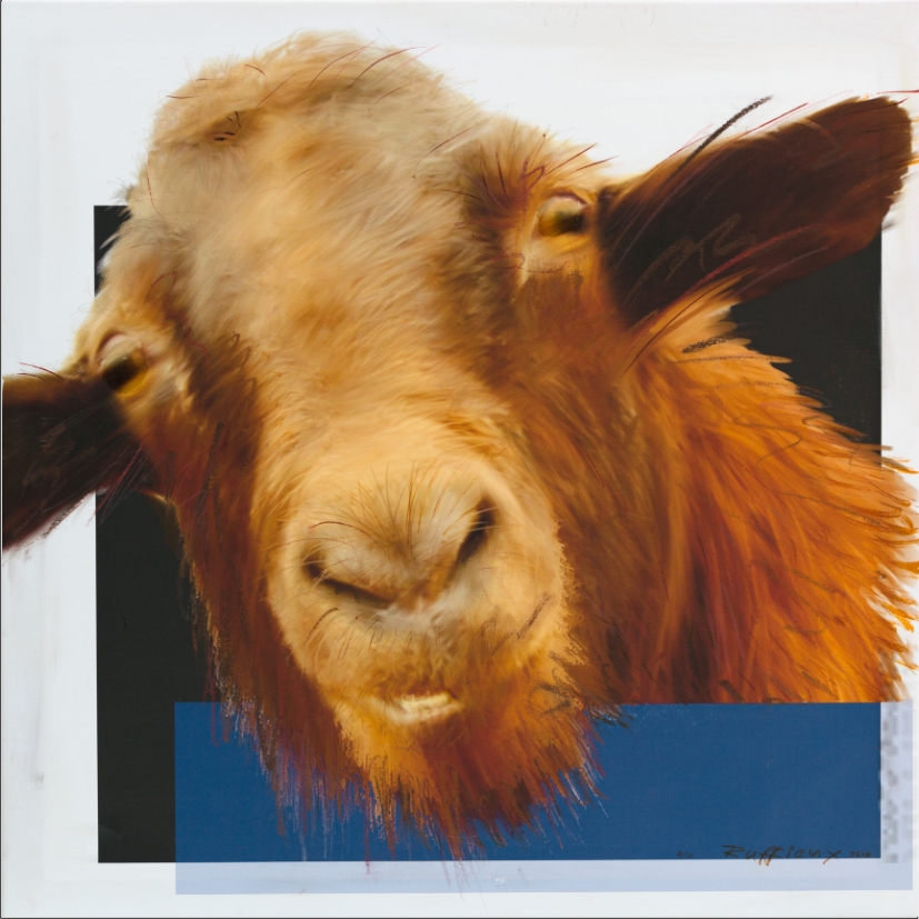 30 2018 07ruFFix Paintings SHEEP3